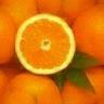 background: Oranges