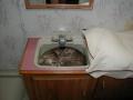 background: Cat In Sink