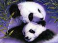 background: panda n cub
