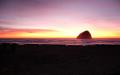 background: pacific city