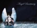 background: black angel