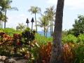 background: Hawaiian Plants