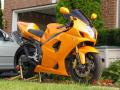 background: lambo orange 2004 GSXR 1000