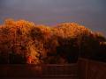 background: Autumn in the Poconos