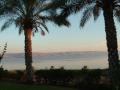 background: Palms Of Galilee