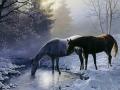 background: Horses snowy creek