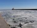 background: Ice in the Harbor