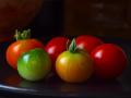background: Fresh Tomatoes