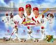 background: cardinals